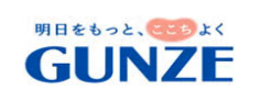 GUNZE online store